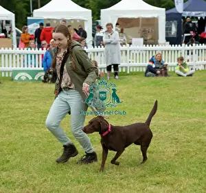 Scruffts 2022 Prints: Scruffts 2023 regional round DogFest Tatton Park, Manchester