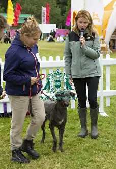 Scruffts 2022 Prints: Scruffts 2023 regional round DogFest Tatton Park, Manchester