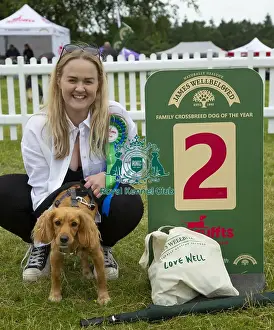 Scruffts 2023 regional round DogFest Tatton Park, Manchester