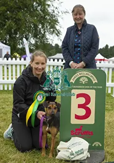Scruffts 2023 regional round DogFest Tatton Park, Manchester