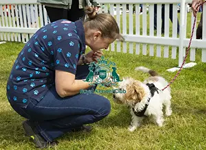 Scruffts 2022 Prints: Scruffts 2023 regional round DogFest Tatton Park, Manchester