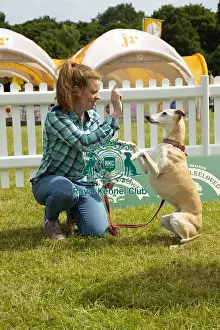 Scruffts 2023 regional round DogFest Tatton Park, Manchester