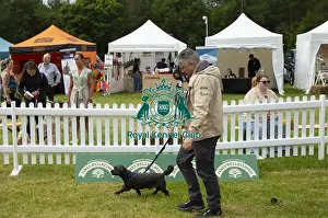 Scruffts 2022 Prints: Scruffts 2023 regional round DogFest Tatton Park, Manchester