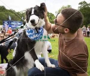 Scruffts Essex Chelmsford All About Dogs James Wellbeloved
