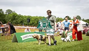 Scruffts Essex Hylands May 26, 2019