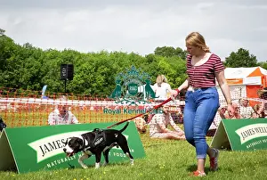Scruffts Essex Hylands May 26, 2019