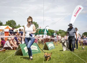 Scruffts Essex Hylands May 26, 2019