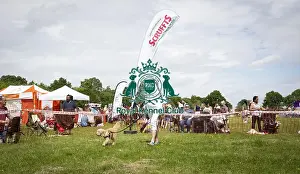 Scruffts Essex Hylands May 26, 2019