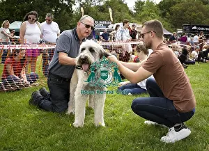 Scruffts Essex Hylands May 26, 2019