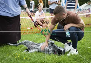 Scruffts Essex Hylands May 26, 2019