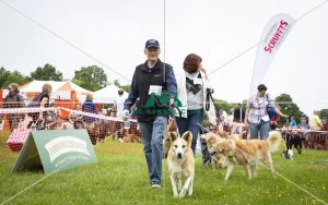 Scruffts Essex Hylands May 26, 2019