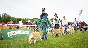 Scruffts Essex Hylands May 26, 2019