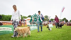 Scruffts Essex Hylands May 26, 2019