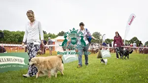 Scruffts Essex Hylands May 26, 2019