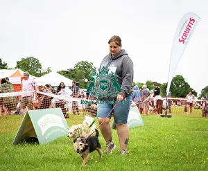 Scruffts Essex Hylands May 26, 2019