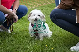 Scruffts Essex Hylands May 26, 2019