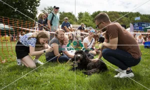 Scruffts Essex Hylands May 26, 2019
