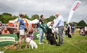 Scruffts Essex Hylands May 26, 2019