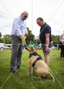 Scruffts Essex Hylands May 26, 2019