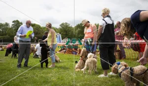 Scruffts Essex Hylands May 26, 2019