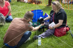 Scruffts Essex Hylands May 26, 2019