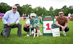 Scruffts 2019 Prints: Scruffts Essex Hylands May 26, 2019