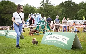Scruffts 2019 Prints: Scruffts Essex Hylands May 26, 2019