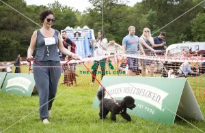 Scruffts Essex Hylands May 26, 2019