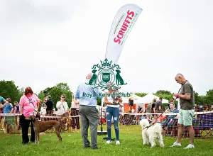 Scruffts 2019 Prints: Scruffts Essex Hylands May 26, 2019