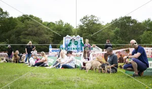 Scruffts Essex Hylands May 26, 2019