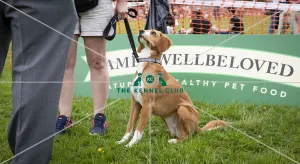 Scruffts Essex Hylands May 26, 2019