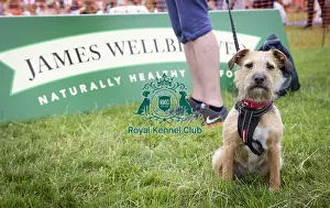 Scruffts 2019 Prints: Scruffts Essex Hylands May 26, 2019