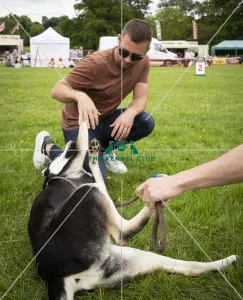 Scruffts Essex Hylands May 26, 2019