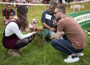 Scruffts Essex Hylands May 26, 2019