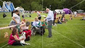Scruffts Essex Hylands May 26, 2019