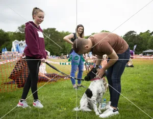 Scruffts Essex Hylands May 26, 2019 Scruffts Essex Hylands May 26, 2019