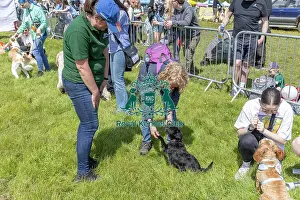 Chelmsford Prints: Scruffts Family Crossbreed Competition Most Handsome Crossbreed Dog Class