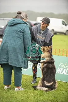 Judging Prints: Scruffts Family Crossbreed of the Year competition All About Dogs Cornwall 22/09/24