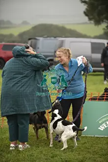 Scruffts 2024 Prints: Scruffts Family Crossbreed of the Year competition All About Dogs Cornwall 22/09/24