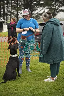 Scruffts Family Crossbreed of the Year competition All About Dogs Cornwall 22/09/24