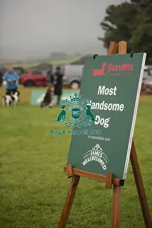 Scruffts Prints: Scruffts Family Crossbreed of the Year competition All About Dogs Cornwall 22/09/24