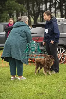 Scruffts Prints: Scruffts Family Crossbreed of the Year competition All About Dogs Cornwall 22/09/24