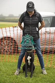 Scruffts Prints: Scruffts Family Crossbreed of the Year competition All About Dogs Cornwall 22/09/24