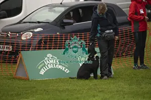 Scruffts Prints: Scruffts Family Crossbreed of the Year competition All About Dogs Cornwall 22/09/24
