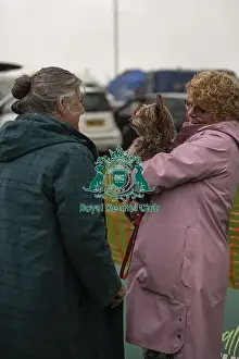 Judging Prints: Scruffts Family Crossbreed of the Year competition All About Dogs Cornwall