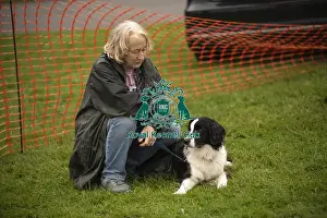 Dog And Owner Prints: Scruffts Family Crossbreed of the Year competition All About Dogs Cornwall