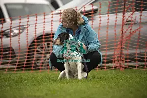 Dog And Owner Prints: Scruffts Family Crossbreed of the Year competition All About Dogs Cornwall