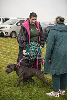Scruffts 2024 Prints: Scruffts Family Crossbreed of the Year competition All About Dogs Cornwall