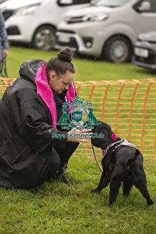 Scruffts 2024 Prints: Scruffts Family Crossbreed of the Year competition All About Dogs Cornwall
