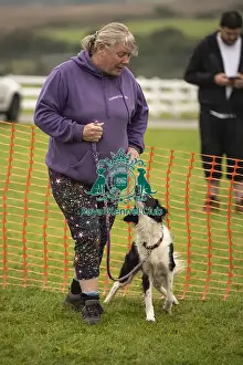 Scruffts 2024 Prints: Scruffts Family Crossbreed of the Year competition All About Dogs Cornwall